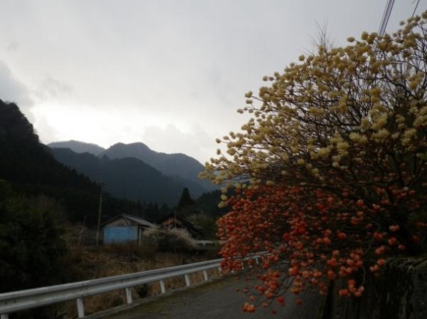 はるか遠くに見える犬ヶ岳。楽しい登山が出来てよかった！